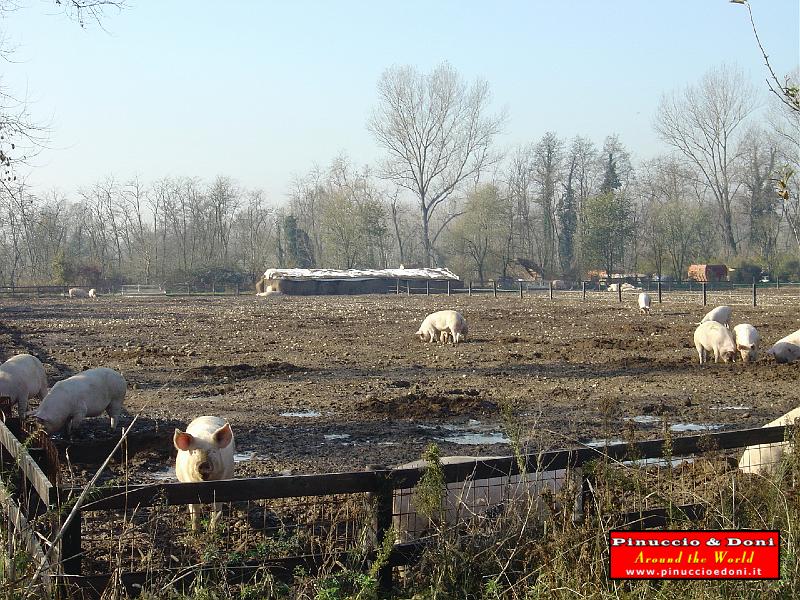 Enduro Besate Ozzero 26-11-08 - 19.JPG